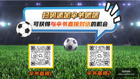 越南足球近况解析：联二连胜连续8战6胜，深度剖析鲶鱼对阵芽海豚对决